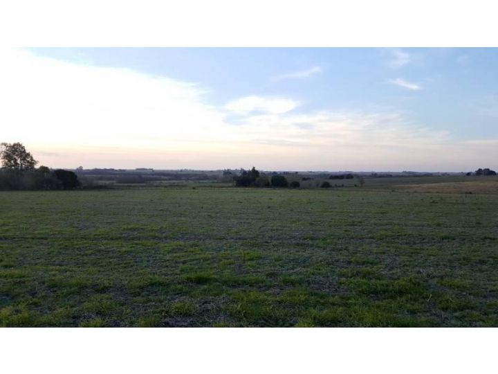 Campo De 15,4 Has En Molino Doll, Con Acceso Al Arroyo Doll