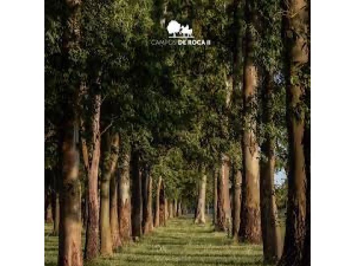 VENTA DE LOTES CAMPOS DE ROCA II
