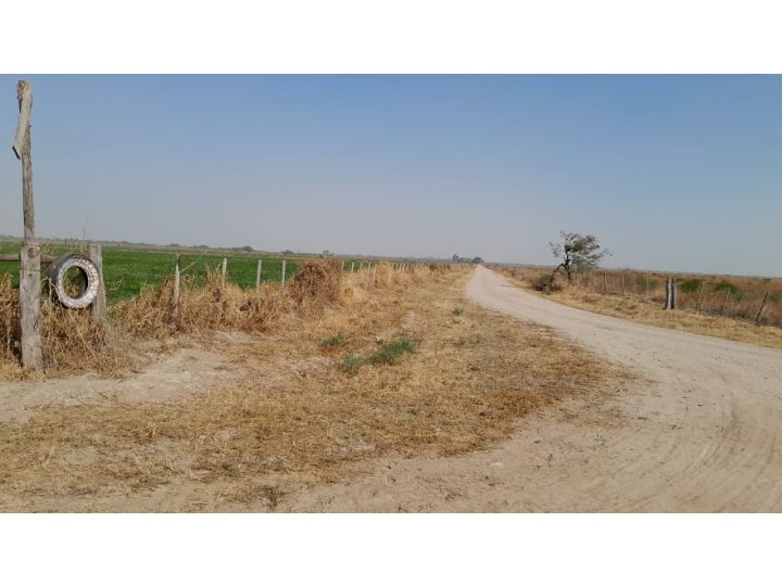 Venta Campo agricola 495has, Sgo del Estero, Clodomira