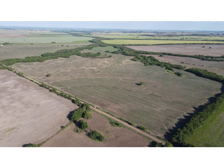 Campo de 75 hectáreas - Laguna del Pescado