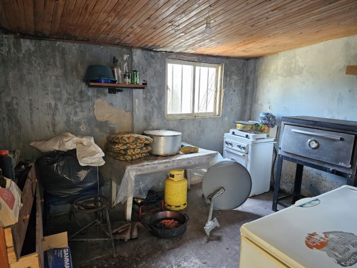 Casa de 3 dormitorios con amplio jardín y local! Terreno de 600m2! Barrio Abadia - Victoria Entre Rios
