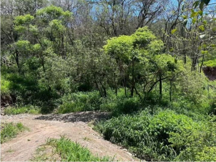 VENTA - HERMOSO LOTE EN VALLE DEL SOL - MENDIOLAZA !!