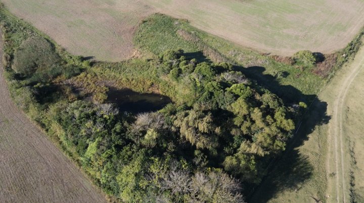 Campo agricola de 21.5 has en Corrales (Antelo)